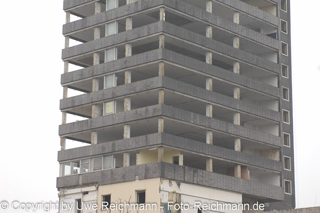 2011_11_25-14.02.16h_0138