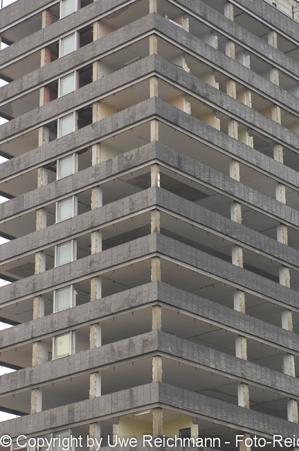 2011_11_25-14.04.40h_0150