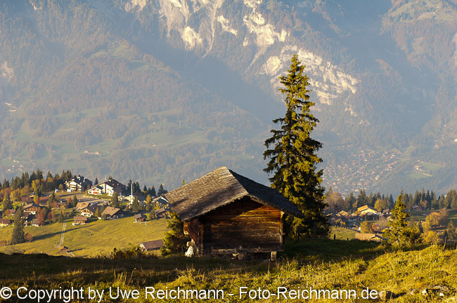 2010_10_11_17.27.10h_0448