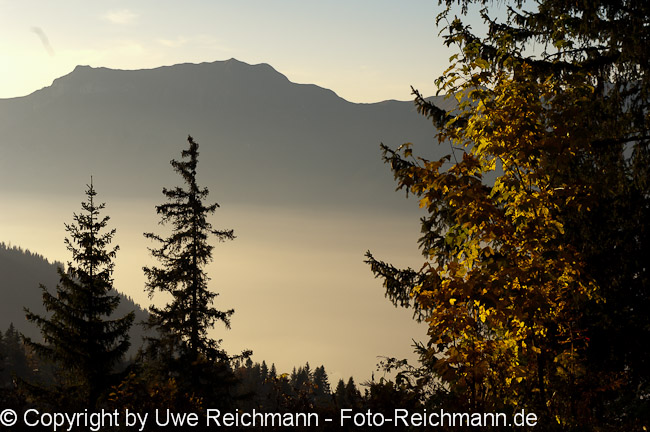 2010_10_11_17.40.34h_0456