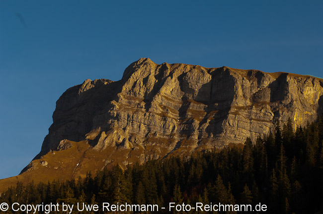 2010_10_11_17.55.08h_0485