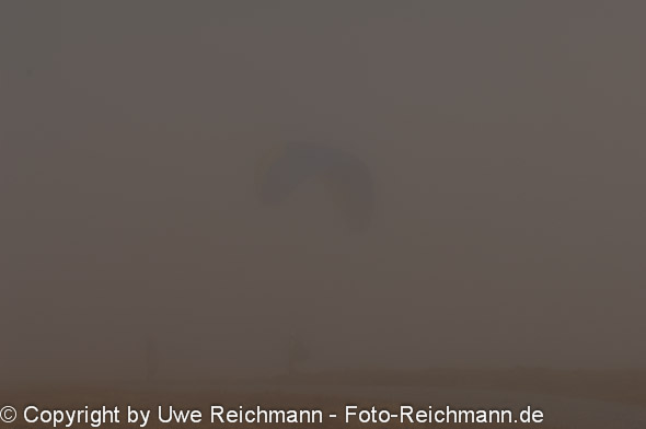 2010_10_14_14.46.32h_0133