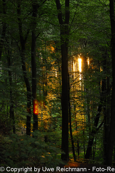 2011_07_15-20.49.00h_0249