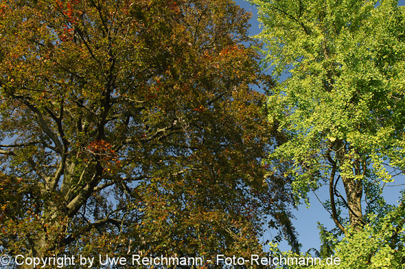 2011_10_02-15.26.46h_0067