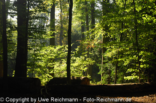 2011_10_02-15.55.34h_0128