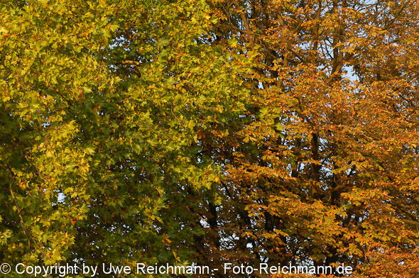 2011_10_02-18.01.38h_0283