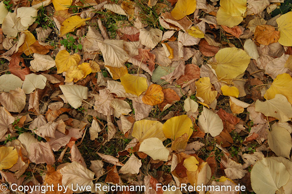 2011_10_02-18.11.58h_0313