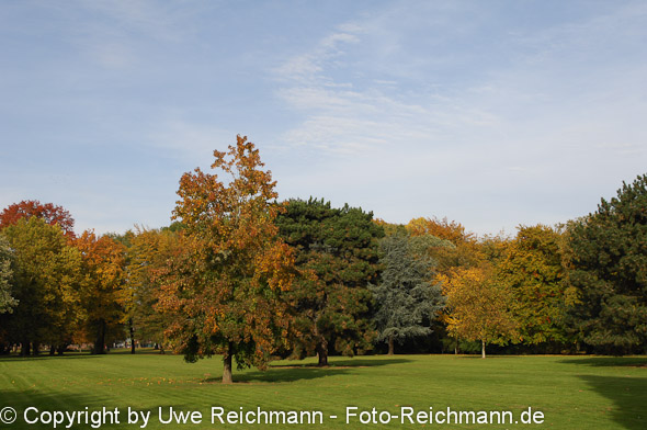 2011_10_27-14.44.24h_0057