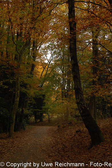 2011_10_29-15.49.40h_0240