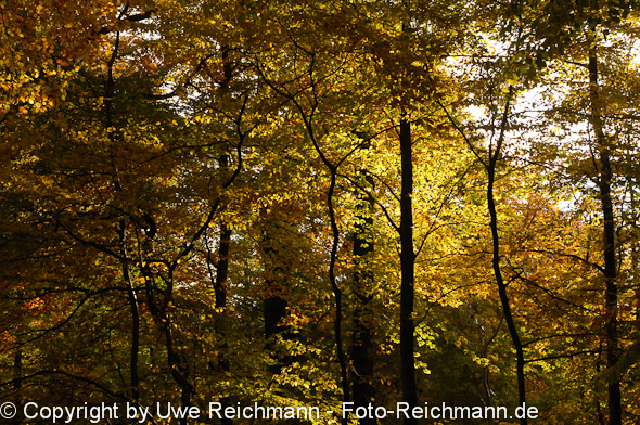 2011_10_29-16.22.54h_0301