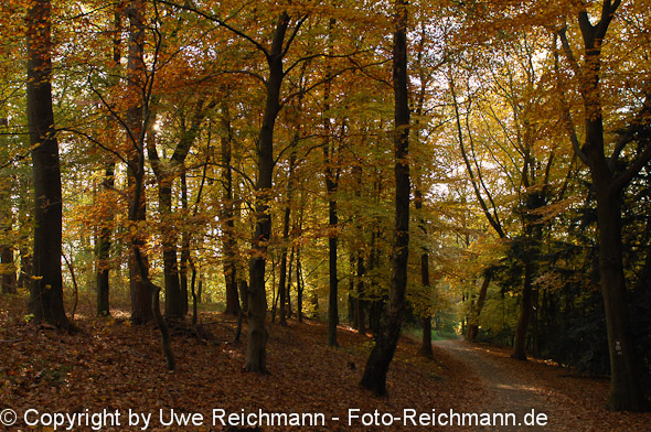 2011_10_29-16.32.50h_0342