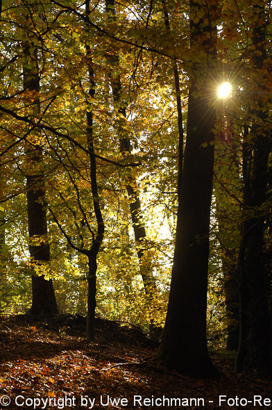 2011_10_29-16.33.38h_0345