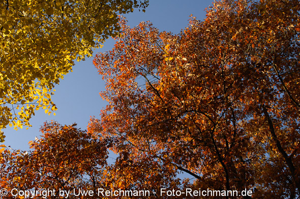 2011_10_29-16.37.22h_0362