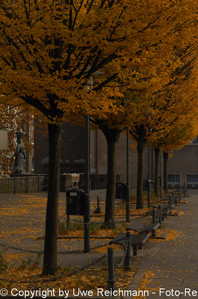 2011_11_06-16.04.38h_0084