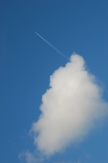 2007_03_02_16.32.50h