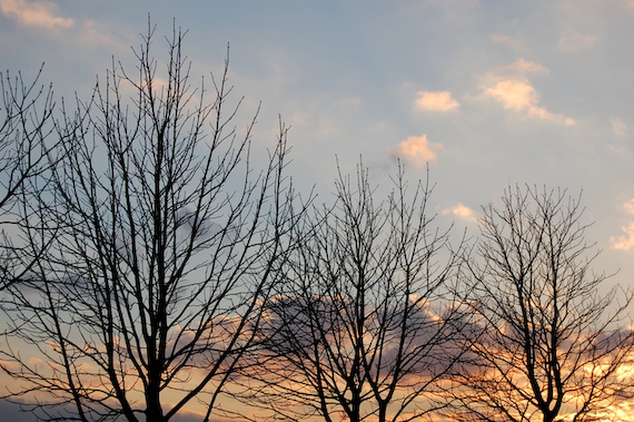 2007_03_02_17.53.34h