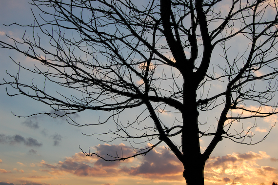 2007_03_02_17.54.22h