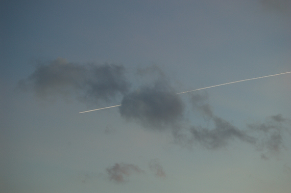 2007_03_02_17.59.08h