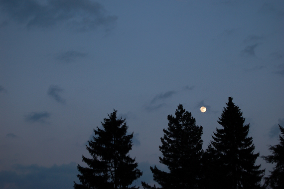 2007_03_02_18.20.52h