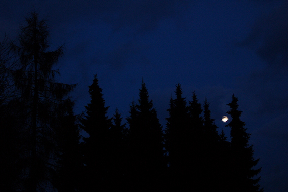 2007_03_02_18.34.16h2