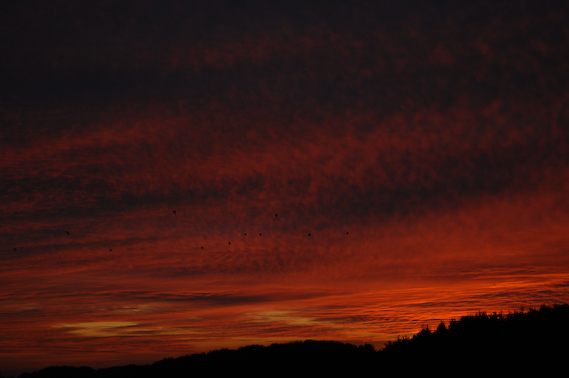 2007_10_20_18.39.04h